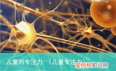 儿童专注力 儿童的专注力