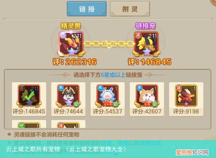 云上城之歌宠物大全 云上城之歌所有宠物