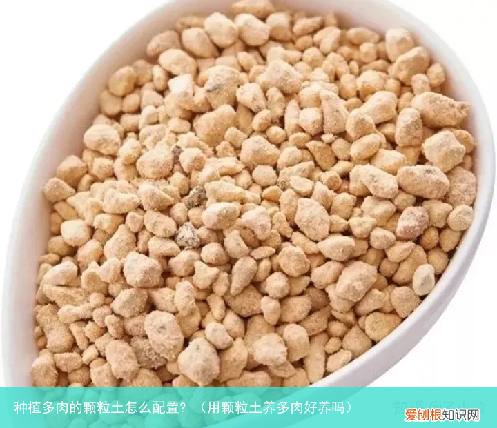 用颗粒土养多肉好养吗 种植多肉的颗粒土怎么配置?