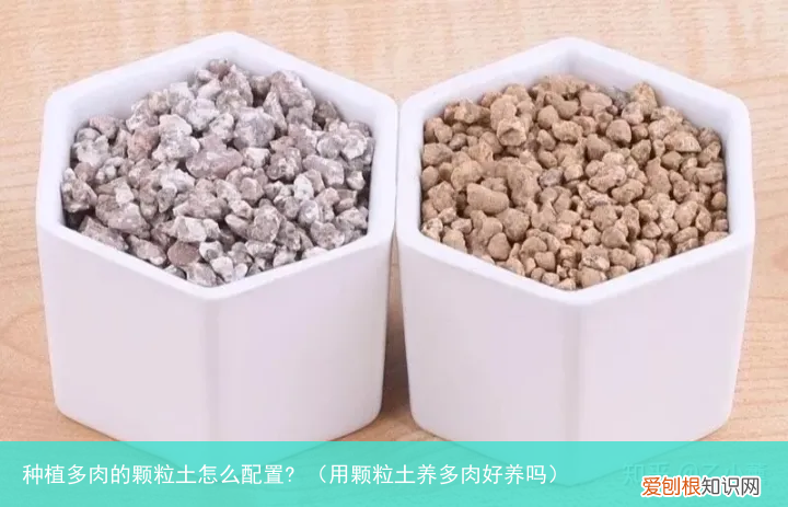 用颗粒土养多肉好养吗 种植多肉的颗粒土怎么配置?