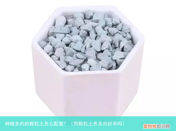 用颗粒土养多肉好养吗 种植多肉的颗粒土怎么配置?