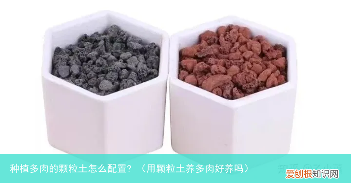用颗粒土养多肉好养吗 种植多肉的颗粒土怎么配置?