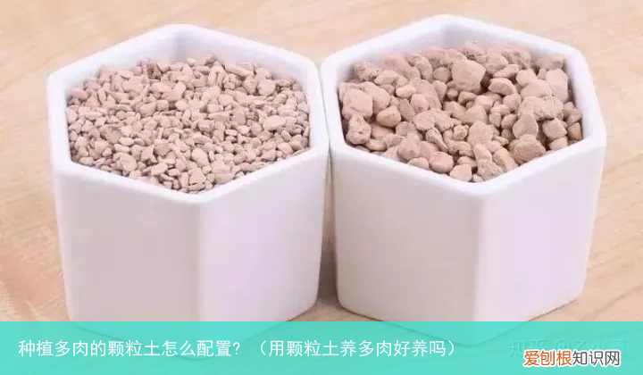 用颗粒土养多肉好养吗 种植多肉的颗粒土怎么配置?