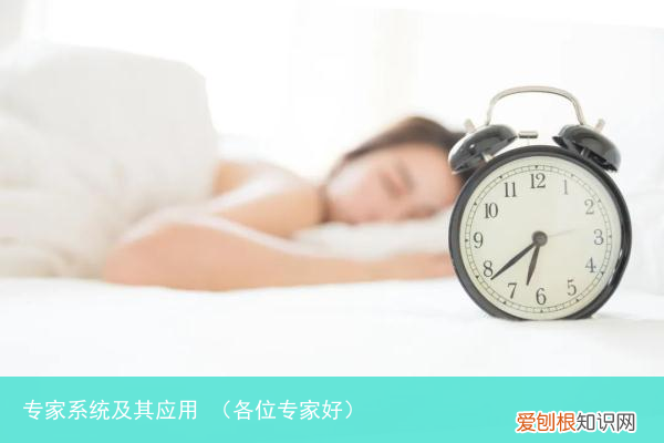 各位专家好 专家系统及其应用