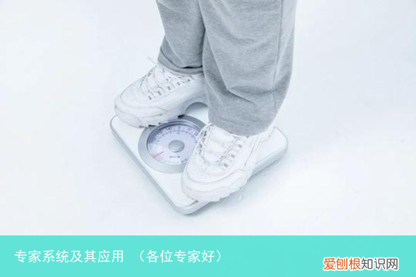 各位专家好 专家系统及其应用