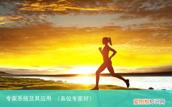 各位专家好 专家系统及其应用
