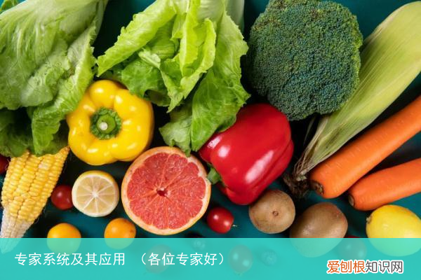 各位专家好 专家系统及其应用