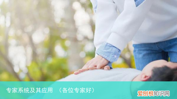 各位专家好 专家系统及其应用