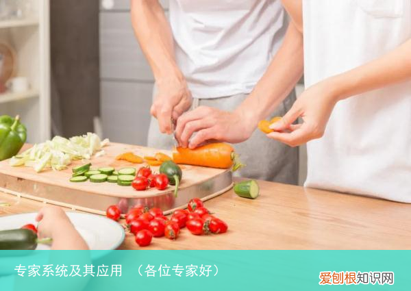 各位专家好 专家系统及其应用