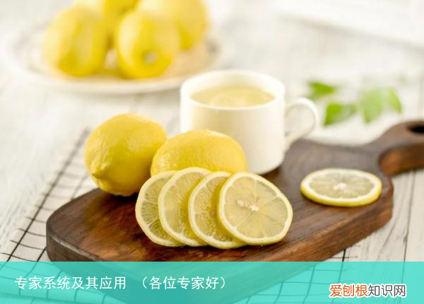 各位专家好 专家系统及其应用