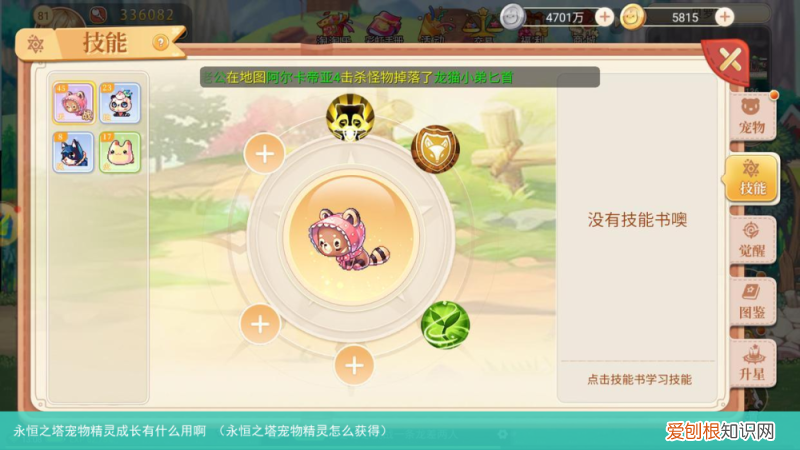 永恒之塔宠物精灵怎么获得 永恒之塔宠物精灵成长有什么用啊