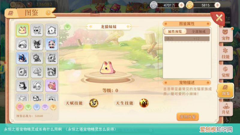 永恒之塔宠物精灵怎么获得 永恒之塔宠物精灵成长有什么用啊