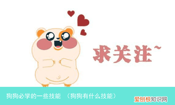 狗狗有什么技能 狗狗必学的一些技能