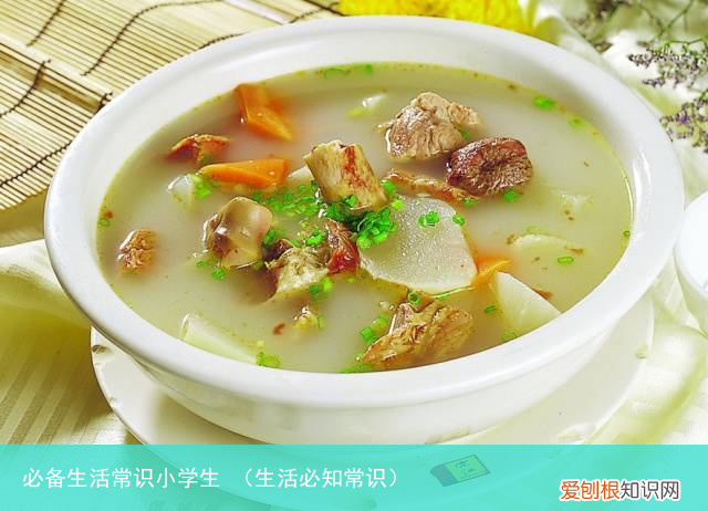 生活必知常识 必备生活常识小学生