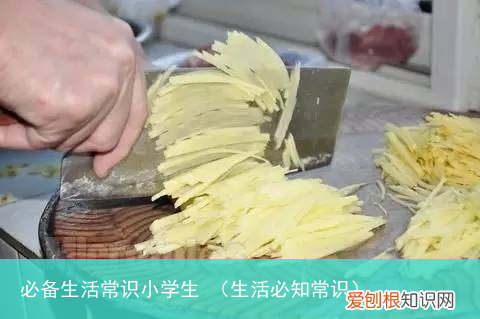 生活必知常识 必备生活常识小学生