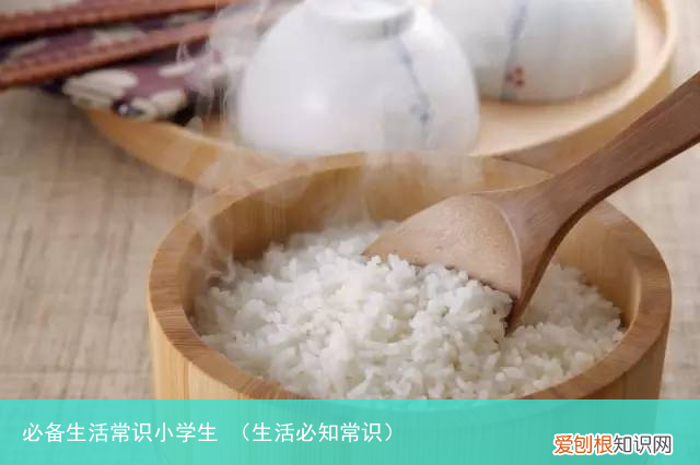 生活必知常识 必备生活常识小学生