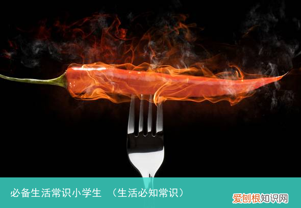 生活必知常识 必备生活常识小学生
