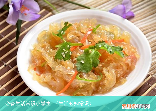 生活必知常识 必备生活常识小学生