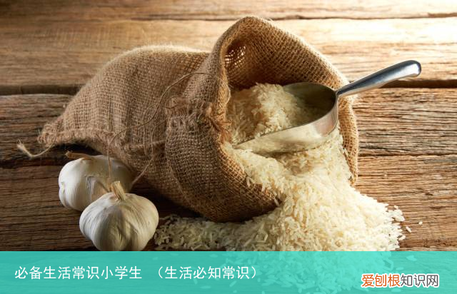 生活必知常识 必备生活常识小学生