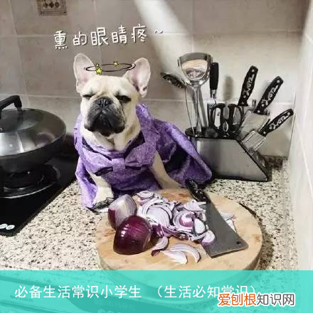 生活必知常识 必备生活常识小学生