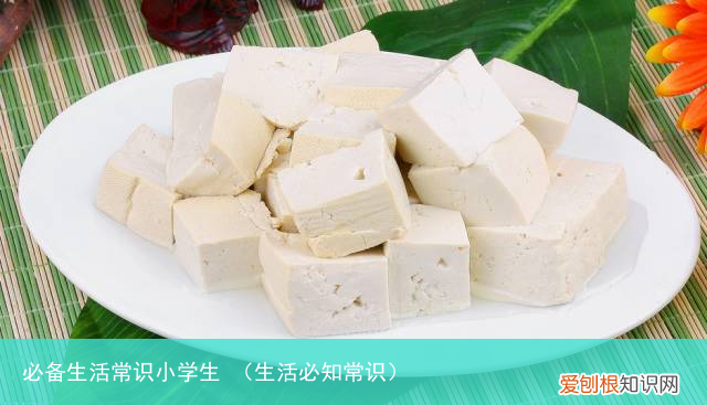 生活必知常识 必备生活常识小学生