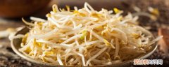 豆芽不可以和什么东西一起吃 豆芽和什么不能一起吃