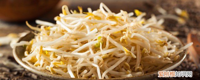 豆芽不可以和什么东西一起吃 豆芽和什么不能一起吃