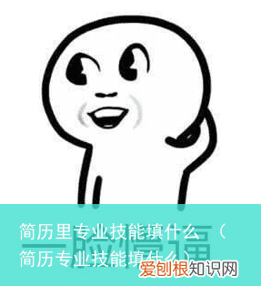 简历专业技能填什么 简历里专业技能填什么