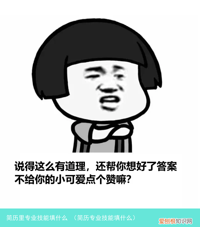 简历专业技能填什么 简历里专业技能填什么
