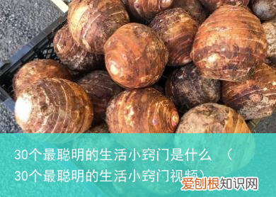 30个最聪明的生活小窍门视频 30个最聪明的生活小窍门是什么