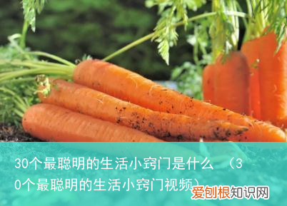 30个最聪明的生活小窍门视频 30个最聪明的生活小窍门是什么