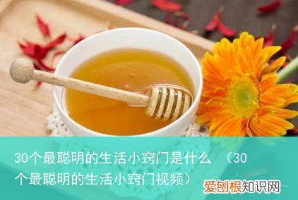30个最聪明的生活小窍门视频 30个最聪明的生活小窍门是什么