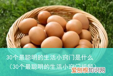 30个最聪明的生活小窍门视频 30个最聪明的生活小窍门是什么