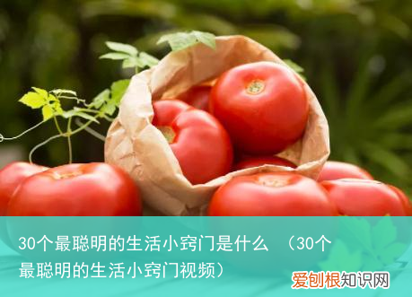 30个最聪明的生活小窍门视频 30个最聪明的生活小窍门是什么