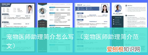 宠物医师助理简介范文 宠物医师助理简介怎么写