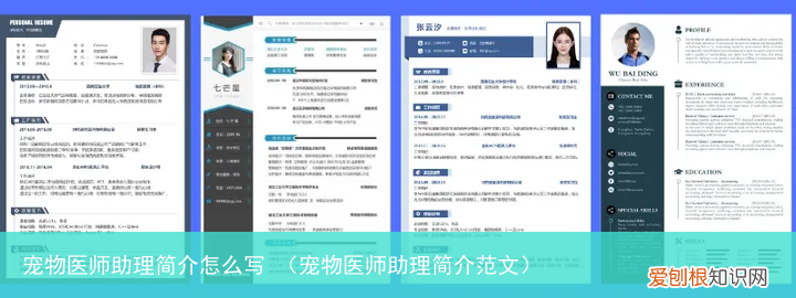 宠物医师助理简介范文 宠物医师助理简介怎么写