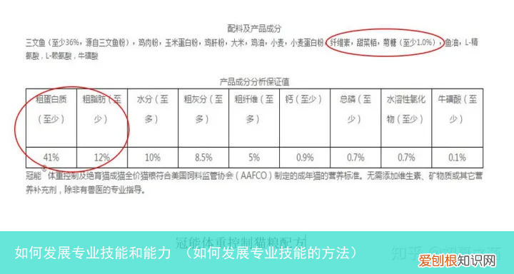 如何发展专业技能的方法 如何发展专业技能和能力