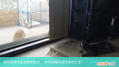 如何发展专业技能的方法 如何发展专业技能和能力