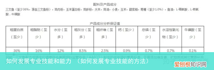 如何发展专业技能的方法 如何发展专业技能和能力
