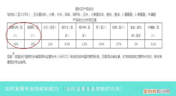 如何发展专业技能的方法 如何发展专业技能和能力
