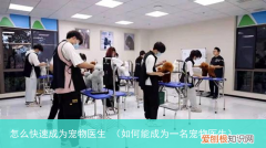 如何能成为一名宠物医生 怎么快速成为宠物医生