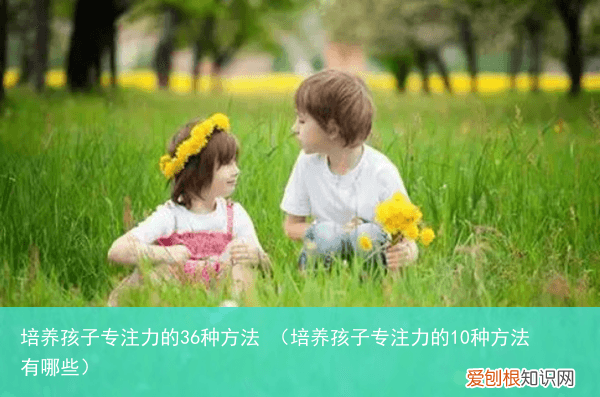 培养孩子专注力的10种方法有哪些 培养孩子专注力的36种方法