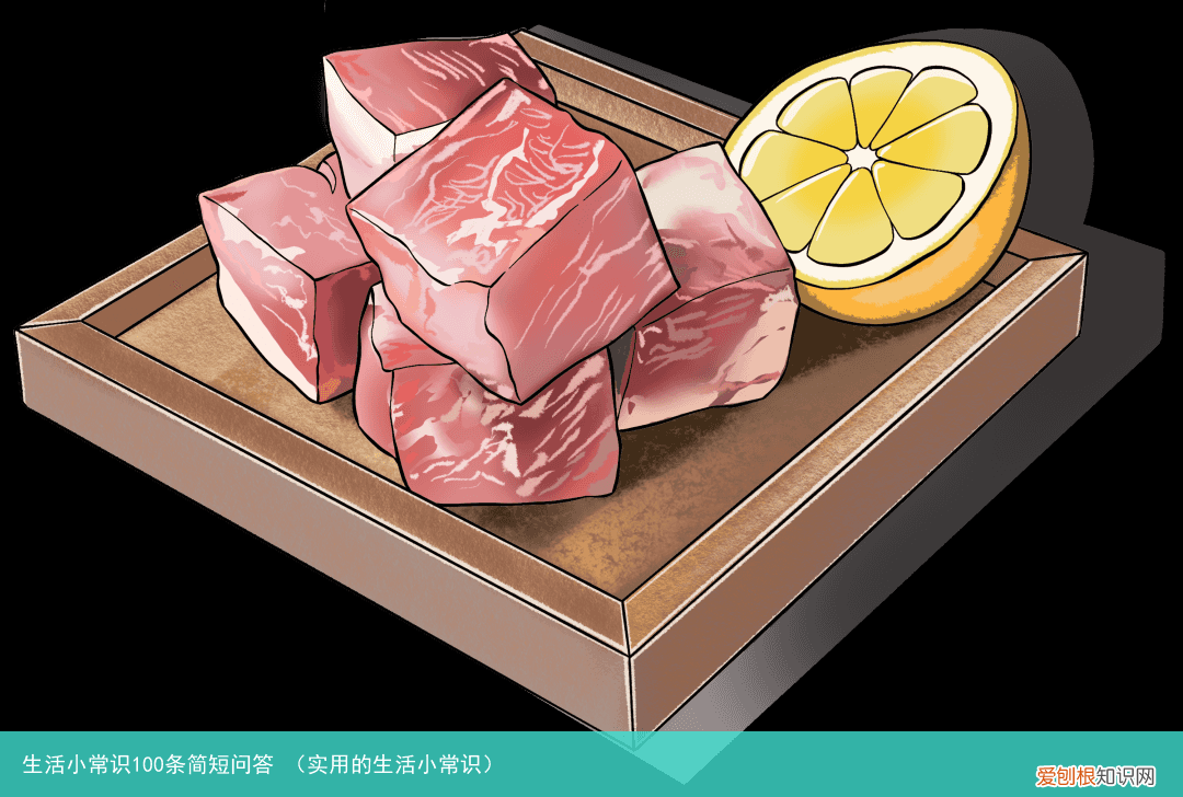 实用的生活小常识 生活小常识100条简短问答