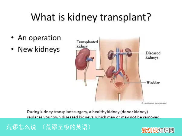 荒谬至极的英语 荒谬怎么说