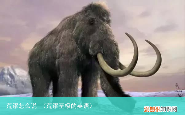 荒谬至极的英语 荒谬怎么说