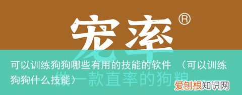 可以训练狗狗什么技能 可以训练狗狗哪些有用的技能的软件