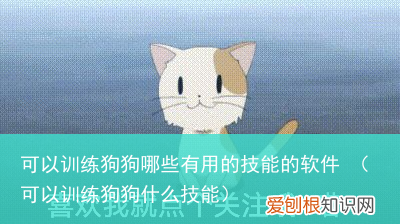 可以训练狗狗什么技能 可以训练狗狗哪些有用的技能的软件