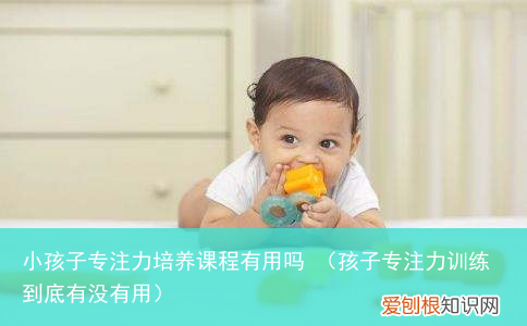 孩子专注力训练到底有没有用 小孩子专注力培养课程有用吗