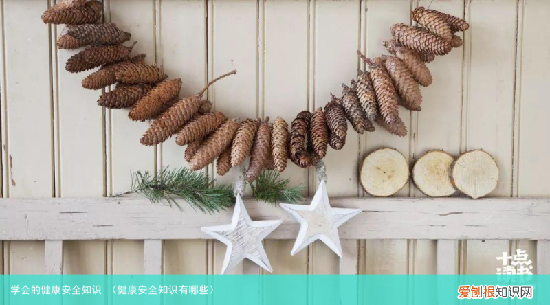 健康安全知识有哪些 学会的健康安全知识
