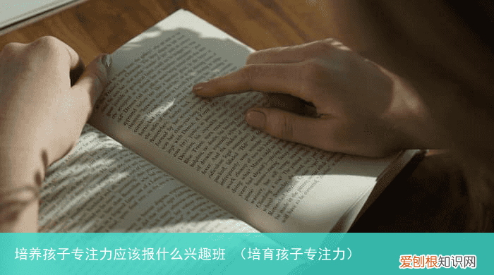 培育孩子专注力 培养孩子专注力应该报什么兴趣班